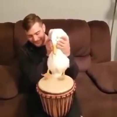 A marching drummer for the Hyonkening