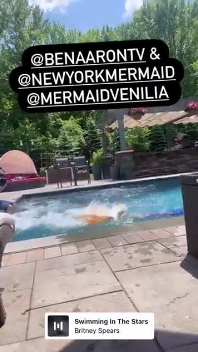 Ginger by the pool...
