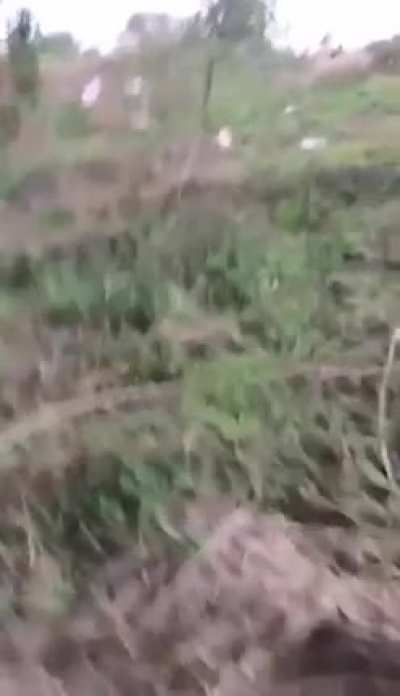 Tiktoker vs Train
