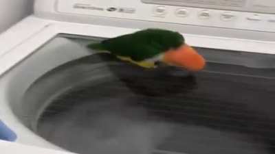 s&oacute; rodando