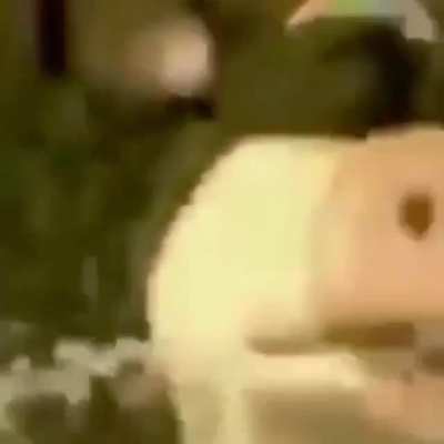 Found two videos and decided to put them together
