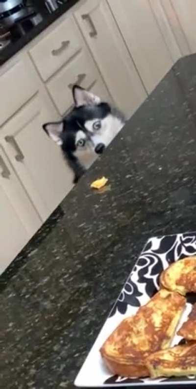 IS THAT FOOD?!