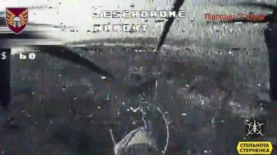 AFU mamont drones destorying russian positions