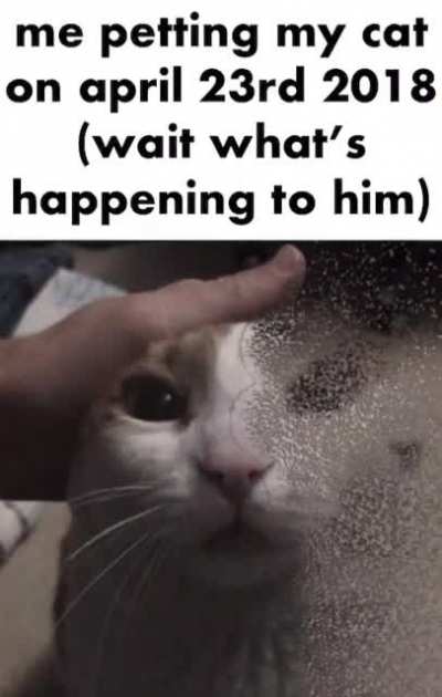 (he doesn&rsquo;t wanna go)
