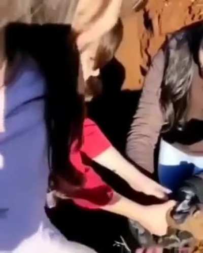 RIP Guinea Pig