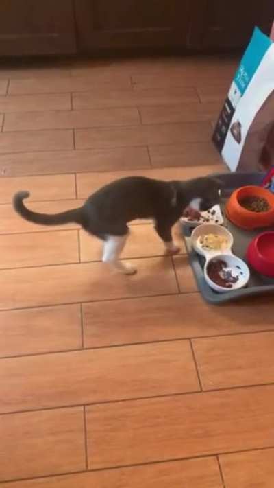 What&rsquo;s in that breakfast?