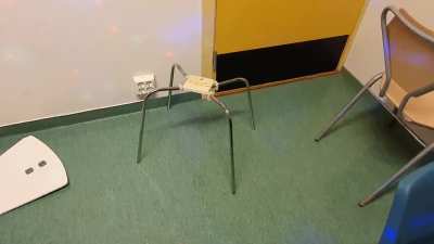 Blursed_spider