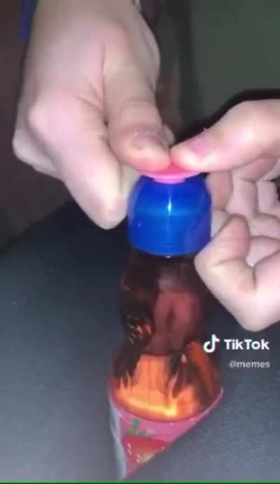 laughing my ass off at this