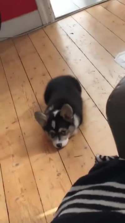AHHHH SO CUTE!