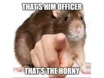 Thats him