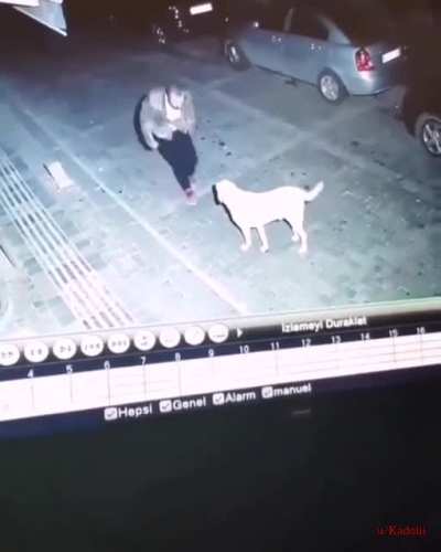 T&uuml;rkiye'de sıradan bir g&uuml;n