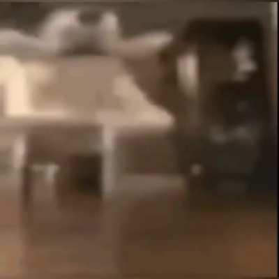 PedroDBR - Video #2959