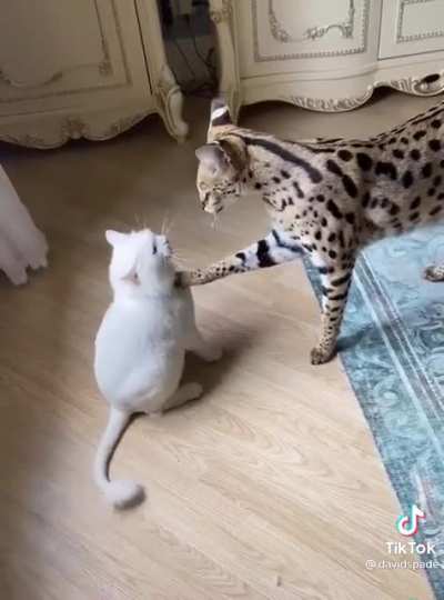 Listen, it's not your fault