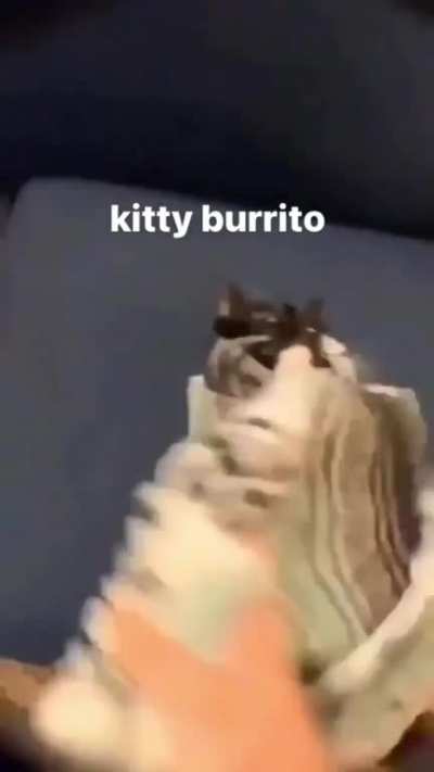 eu🐈‍⬛nvr