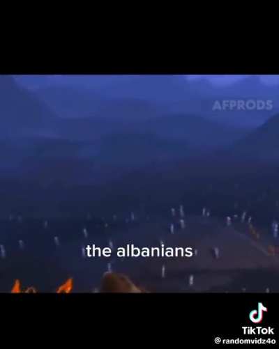 Average NATO thing
