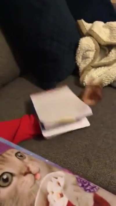 Father of the year