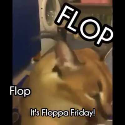 Its Floppa Friday