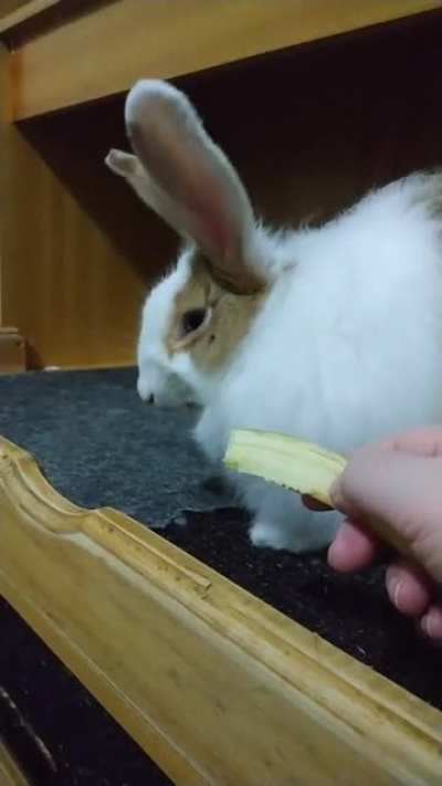 Banana peel...eeeeeew! (Look at that expression of disgust on her face hahaha)