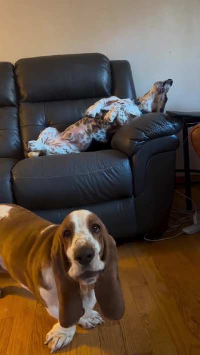 Not [OC] but thought they belonged here
