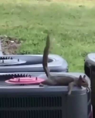 KEKW