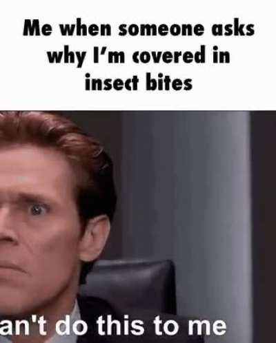 ant