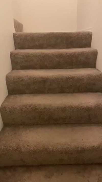 Kitty&rsquo;s first attempt at the stairs