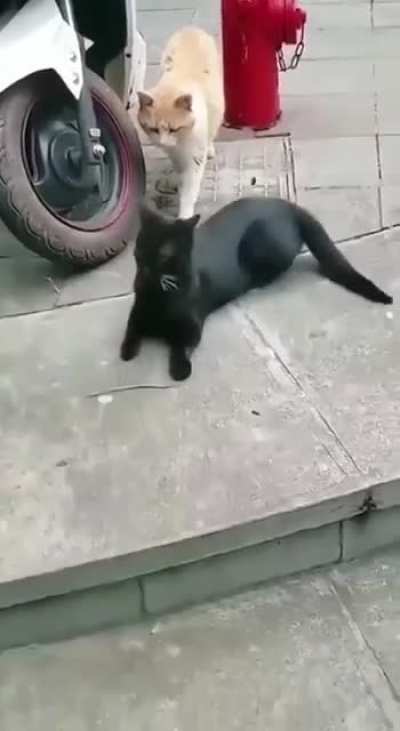 Кто здесь??