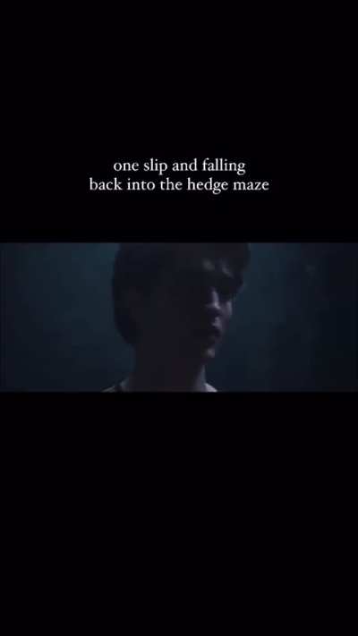Cedric Diggory x Taylor Swift
