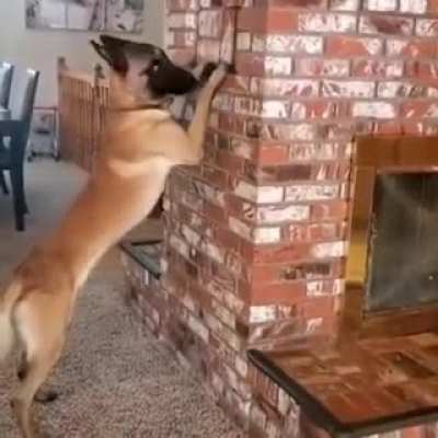 Playing hide &amp;amp; seek with a friend
