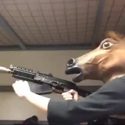 TACTICAL HORSE