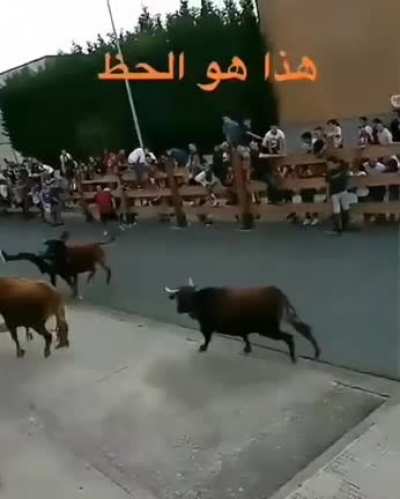 Повезло или он реально нереально ловок?