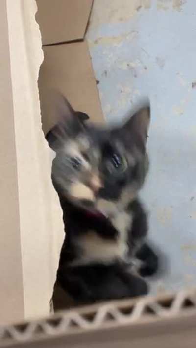 Moments before disaster