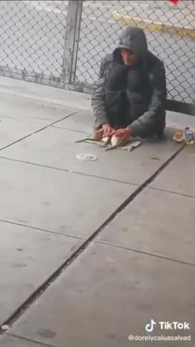 Дрессировщик