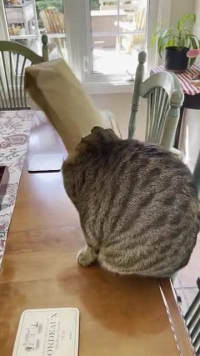 Inverse Purrito