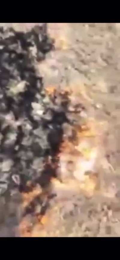 Burns down lawn with fireworks.