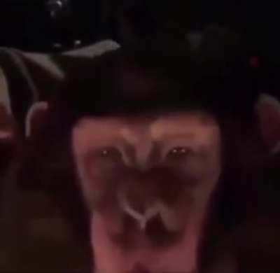 ITS DINNER TIME BOISSSSSS!!!!