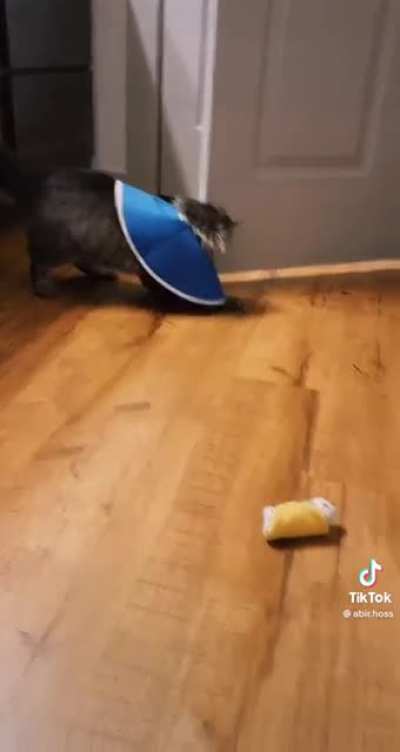 Where&rsquo;s my toy?