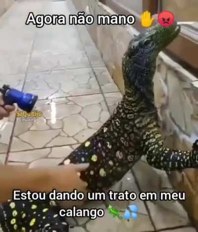 Agora n&atilde;o!!!