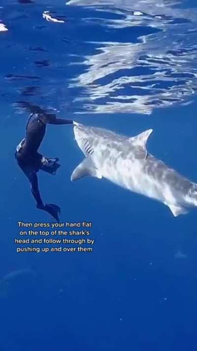 There&rsquo;s also another trick and it&rsquo;s to stay on dry land