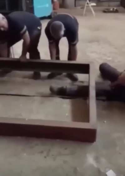 Had to give him a hand&hellip; (leg)