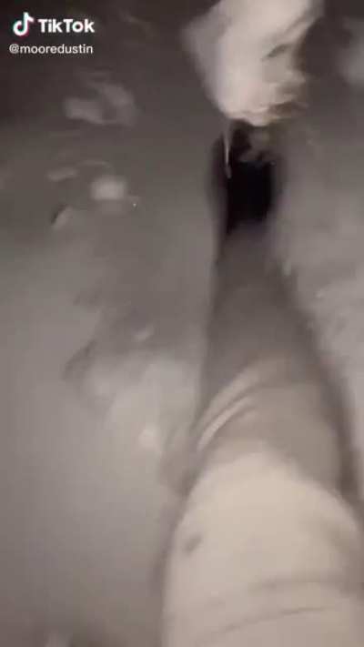 NooOoOooOooo