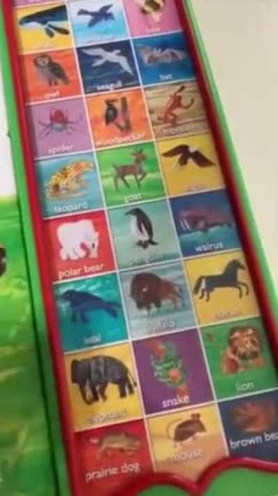 Today I learned how animals sound👀