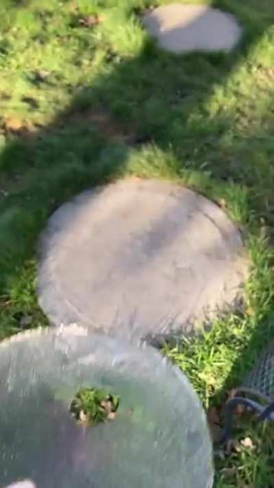 Ice