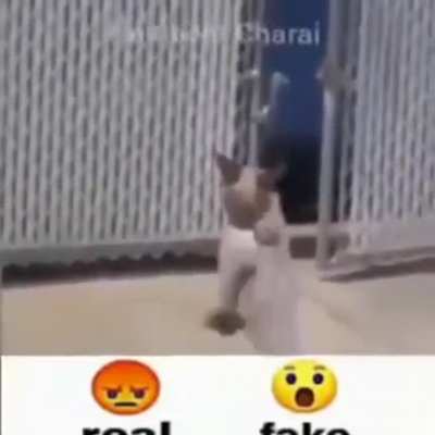 😡😡😡😡
