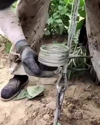"Work smart not hard" This quote best fits here.