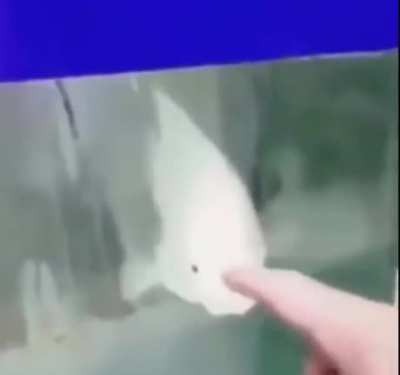 woooOAOAOOAOAOAOAOAOooooo