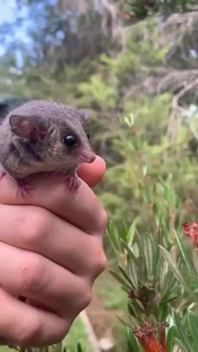 Look at his lil hands!! I love him!!