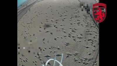 Russian observation drone shot down by kamikaze drone of the reconnaissance unit of the 68th Jaeger Brigade "Oleksa Dovbush". Donetsk region, published August 1, 2024