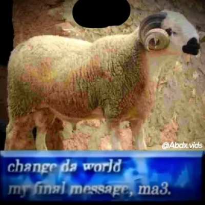 Goat