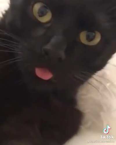 When people say &ldquo; iT&rsquo;s N0t crINge&rdquo;